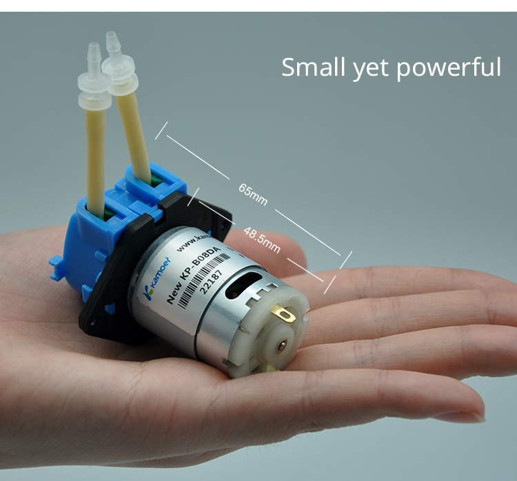 Dc Motor 12V - 2026 new NKP 6V 12V 24V