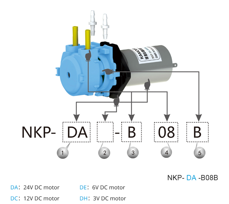 2026 new NKP 6V 12V 24V DC mot - Dc Motor 12V review and price