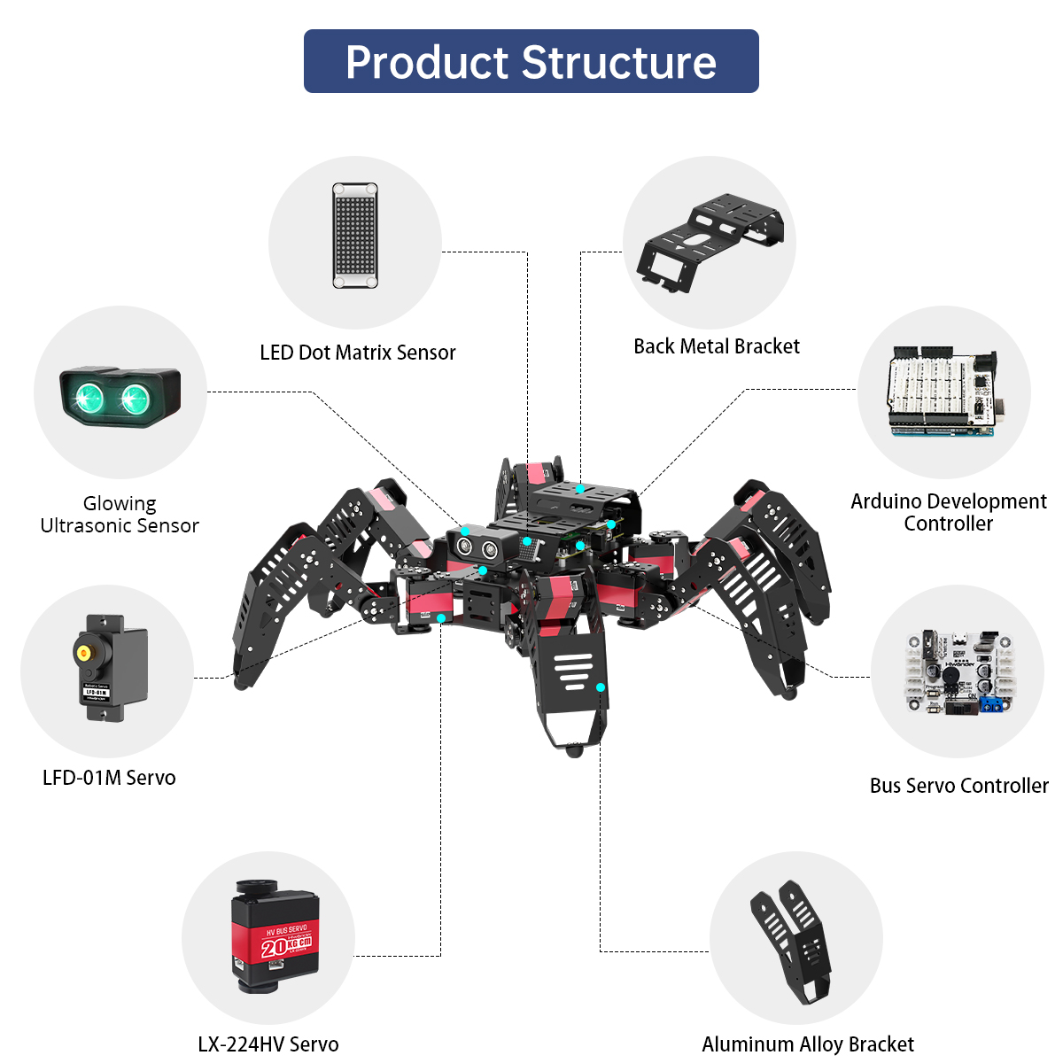 Hiwonder Spiderbot Programmabl - Robotics Kit review and price